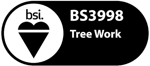 BSI BS3998 Tree Work standard compliant