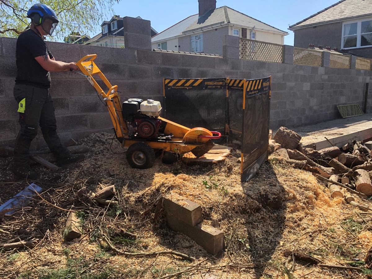 NPTC-qualified tree surgeon in full safety PPE operating a stump grinder in South Wales