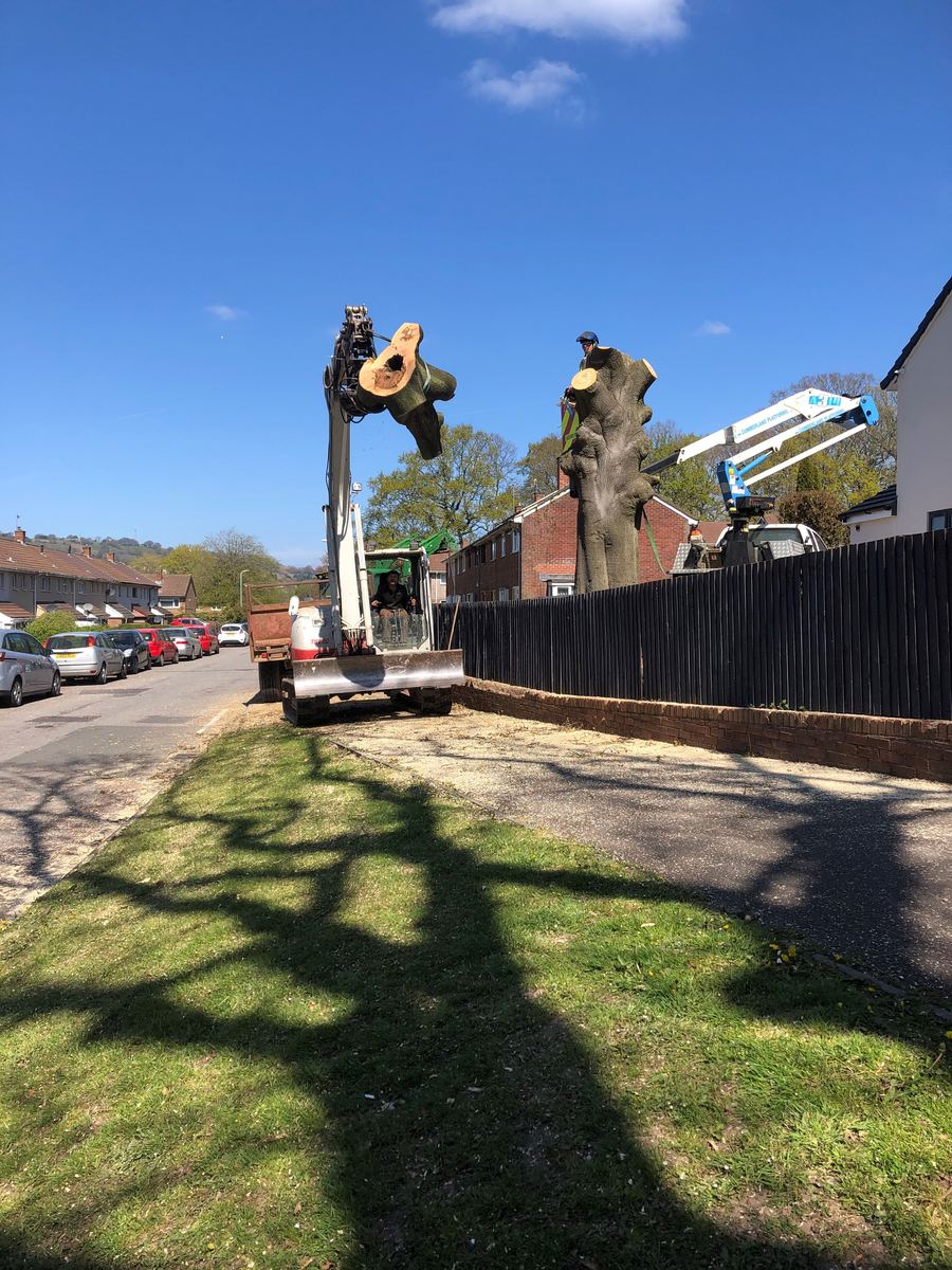 Sectional tree removal on a residential street with timber lifted by grab lorry — tree removal in Cwmbran by Hywel Jones Tree Services