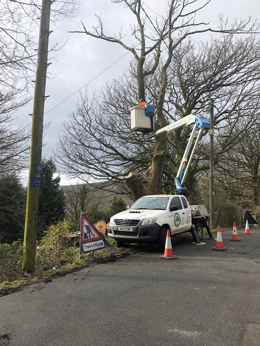 Roadside tree cutting from a truck-mounted cherry picker with signed traffic management on an upland lane — Hywel Jones Tree Services, tree surgeon in Ebbw Vale