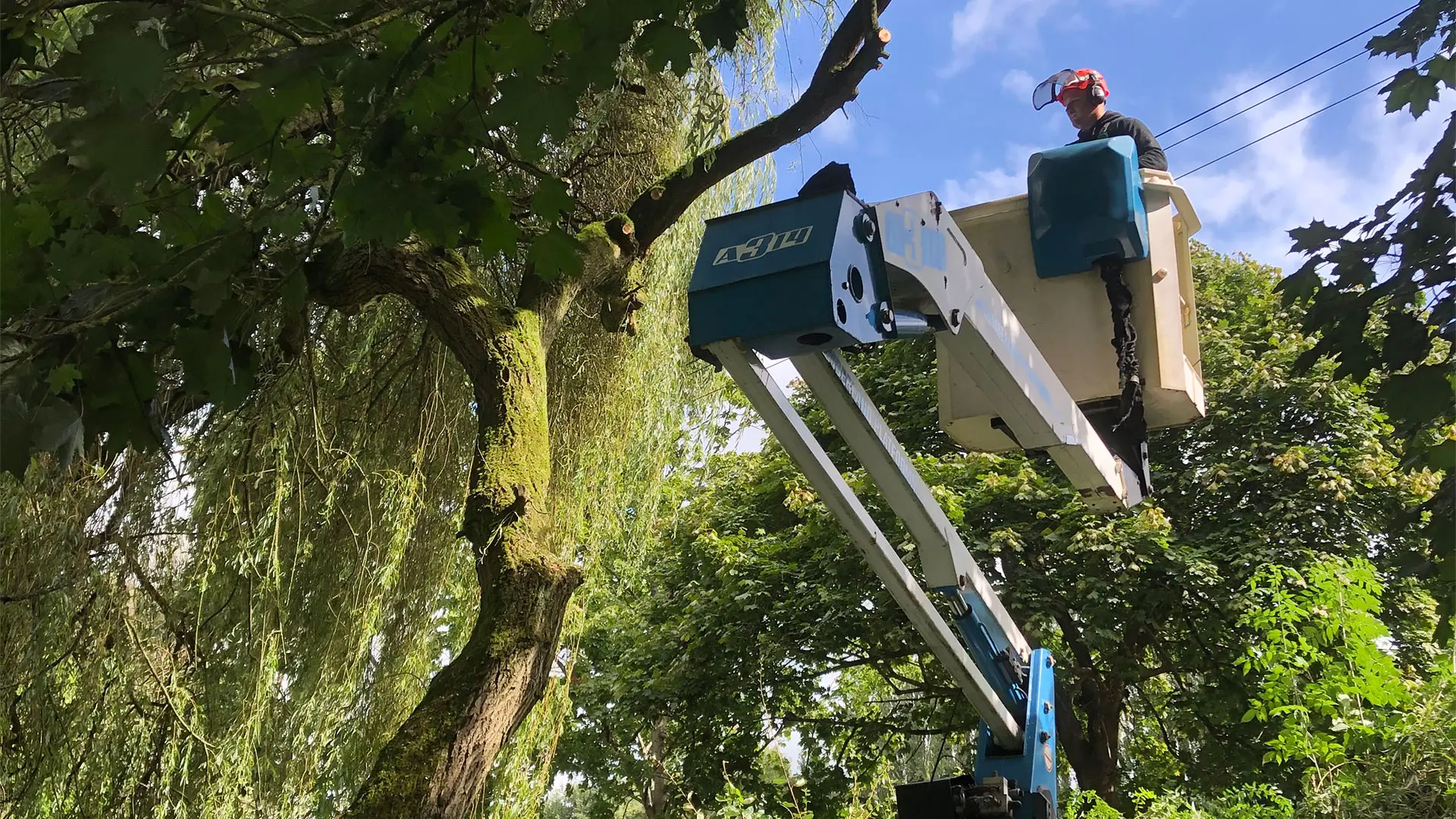NPTC-qualified tree surgeon dismantling a tree from a cherry picker — Hywel Jones Tree Services, tree surgeons covering Newport, Gwent